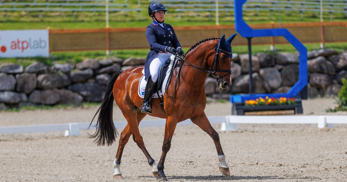 A woman riding a bay horse during a dressage test.