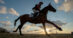 An event horse on cross-country as the sun rises.