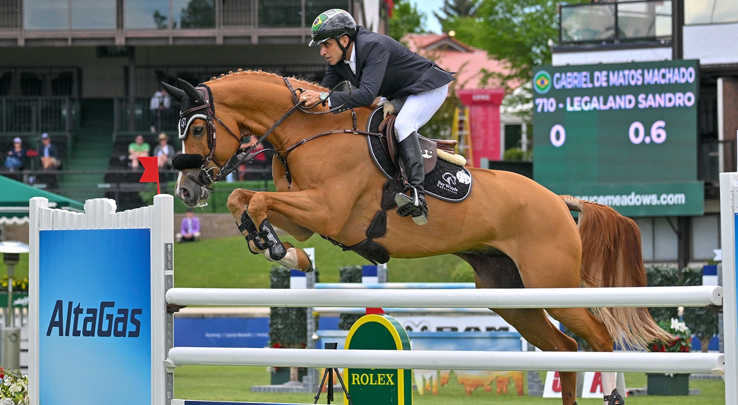 A man jumping a chestnut horse over a fence at Spruce Meadows.