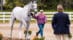 A woman jogging a grey horse at Spruce Meadows.