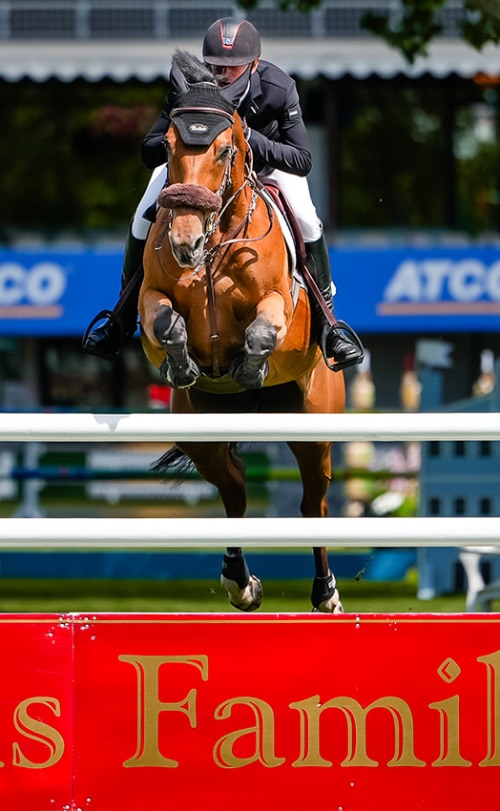 A man jumping a bay horse over a fence at Spruce Meadows.