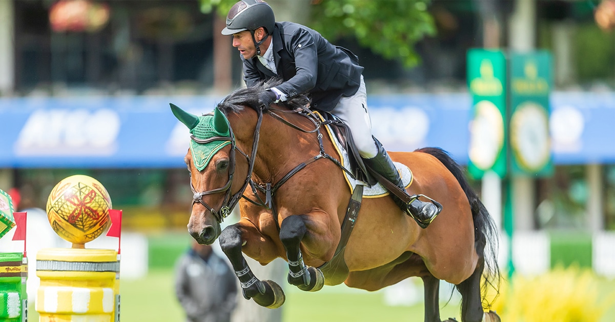 A man jumping a bay horse over a fence at Spruce Meadows.