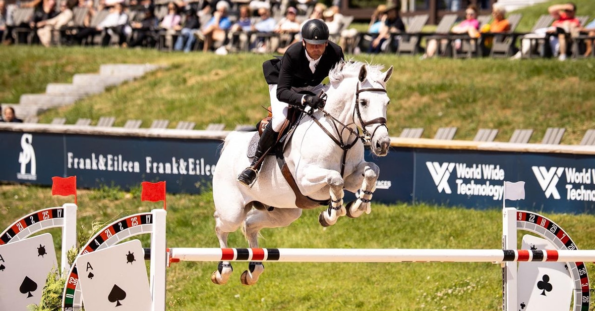 A man jumping a grey horse over a fence at Traverse City.
