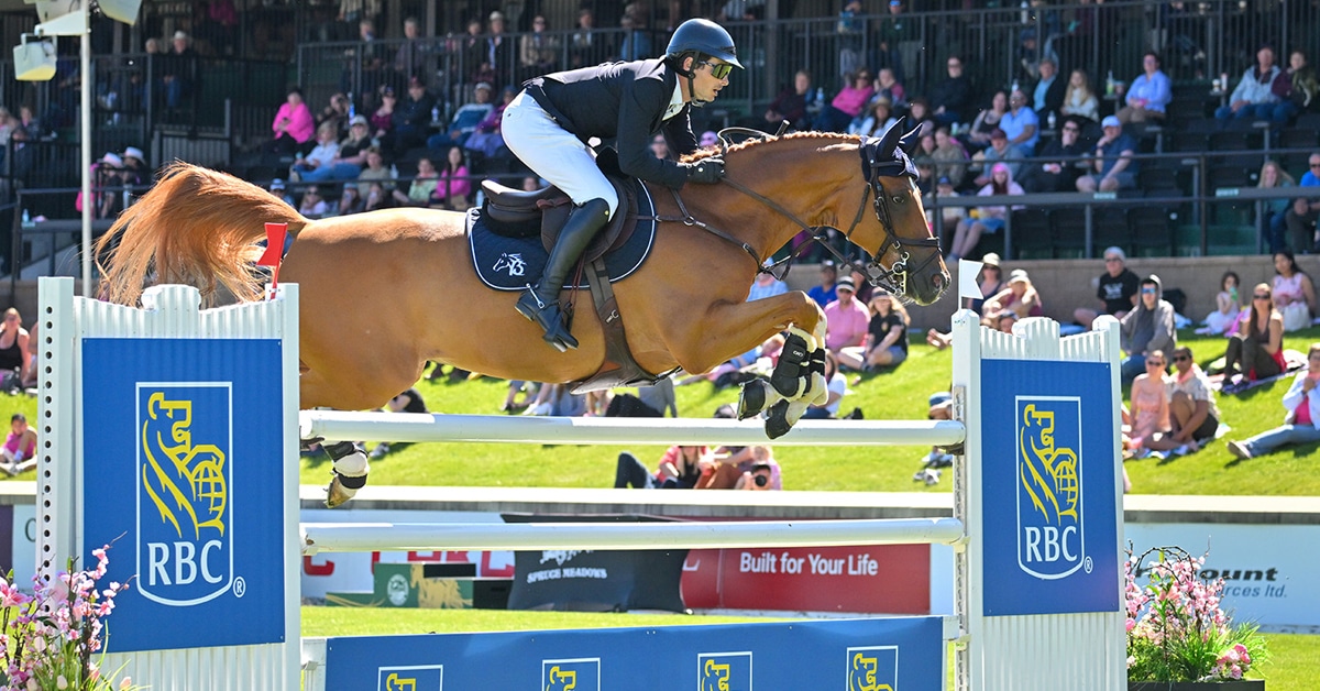 A man jumping a chestnut horse over a fence at Spruce Meadows.