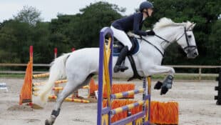 A young woman jumping a grey horse over a colourful fence.
