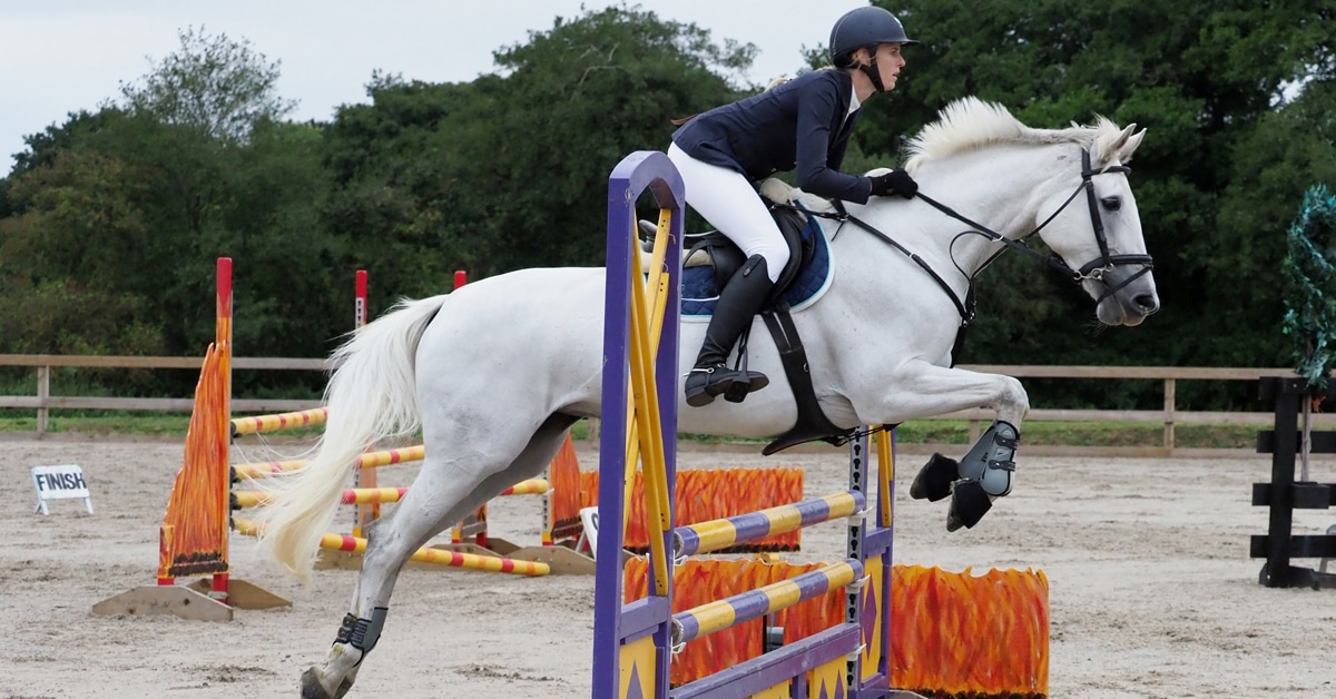 A young woman jumping a grey horse over a colourful fence.