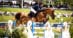 A woman jumping a chestnut horse over a fence at Traverse City.