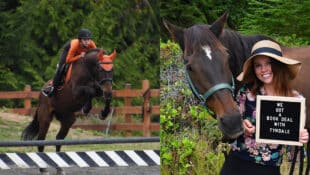 A woman jumping a bat horse over a fence - the woman and horse standing with a sign.