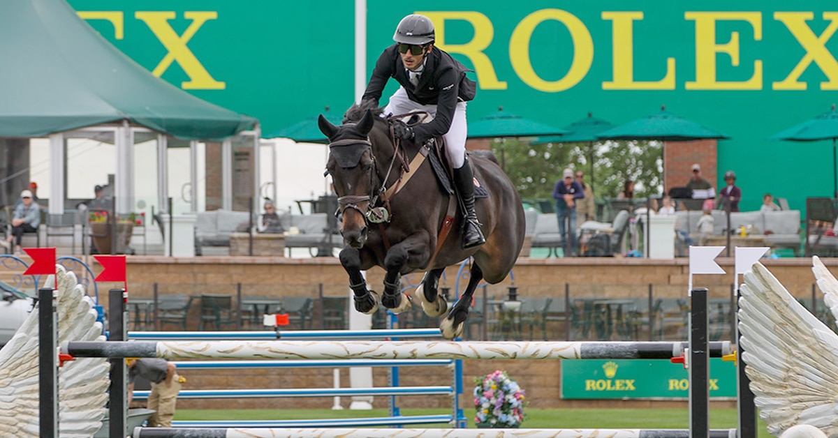 A man jumping a dark bay horse over a fence at Spruce Meadows.