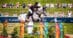 A woman jumping a grey horse over a fence at Traverse City.