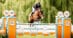 A woman jumping a bay horse over a fence at tbird.