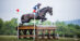 A woman jumping a dark bay horse over a cross-country fence.