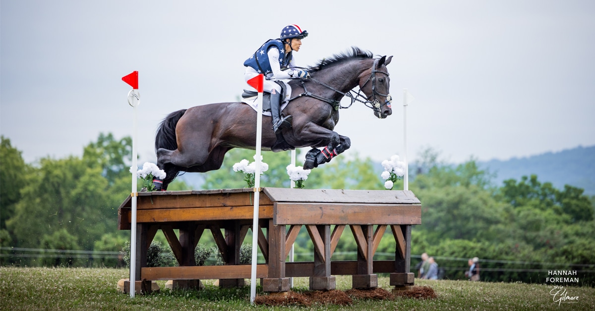 A woman jumping a dark bay horse over a cross-country fence.