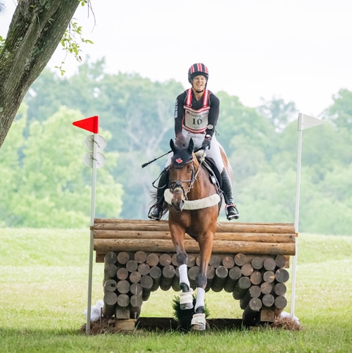 A woman jumping a bay horse over a cross-country fence.