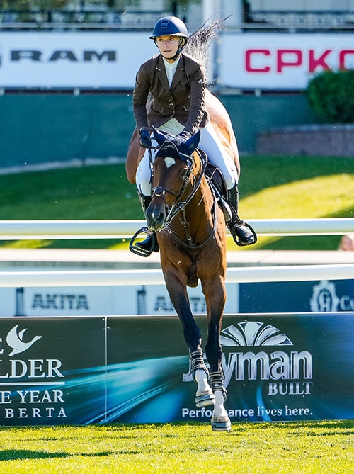 A woman jumping a bay horse over a fence at Spruce Meadows.