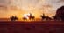 A group of endurance riders in the desert sunrise in RSA.