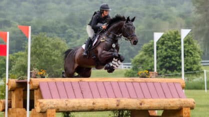A woman jumping a dark bay mare over a cross-country fence in Quebec.