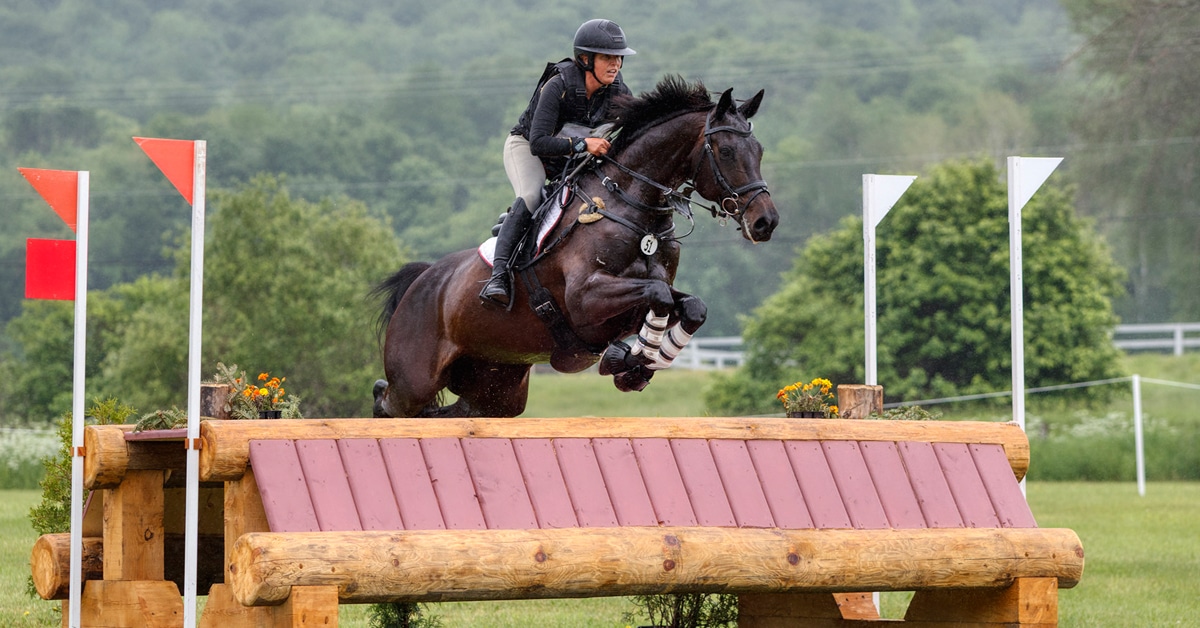 A woman jumping a dark bay mare over a cross-country fence in Quebec.