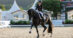 A woman riding a dark bay mare in a dressage arena.