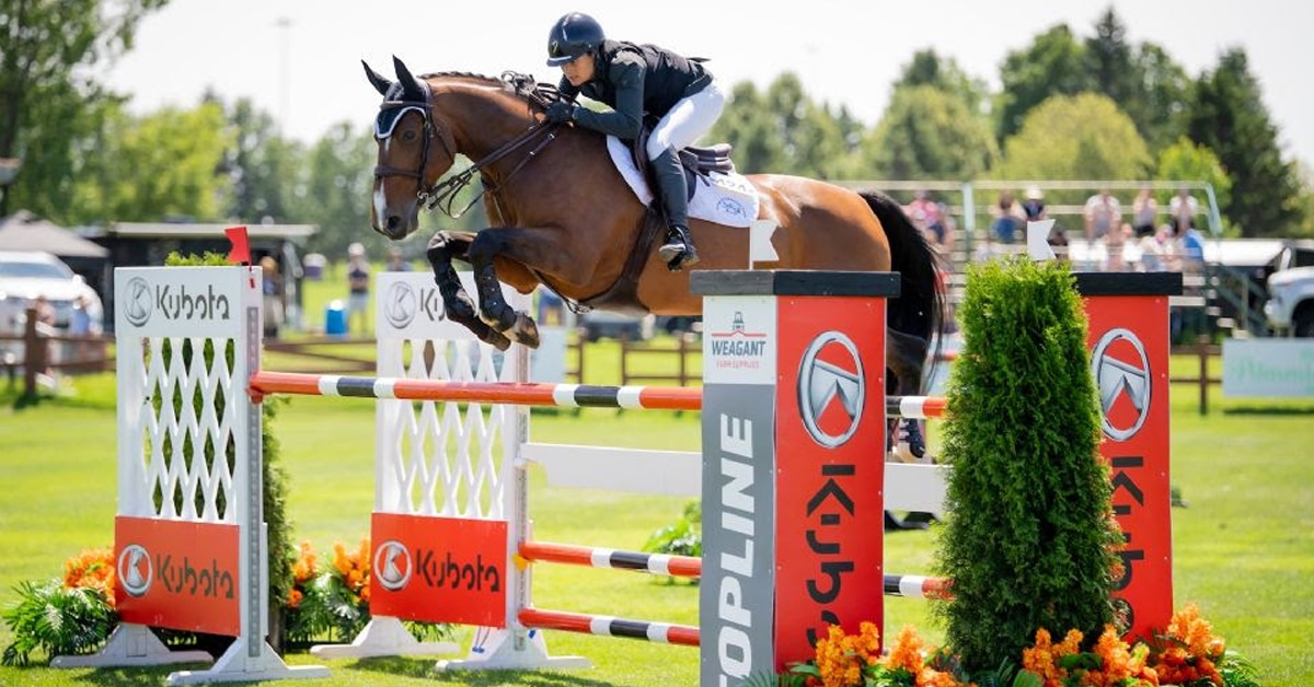 A woman jumping a bay horse over a fence in Ottawa.