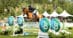 A man jumping a bay horse over a fence at tbird.