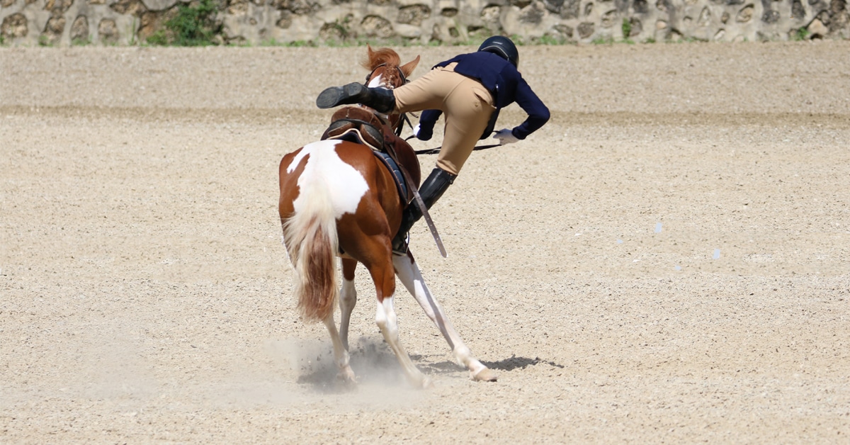 A woman falling off a pain horse in a riding ring.