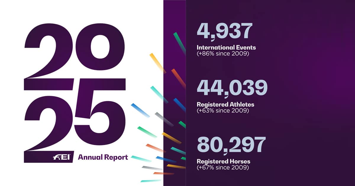 Annual report graphic.
