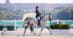 A woman riding a grey dressage horse with a palace in the background.