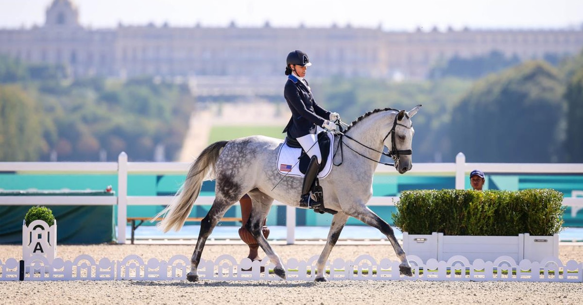A woman riding a grey dressage horse with a palace in the background.