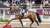 A woman on a bay dressage horse in an arena.