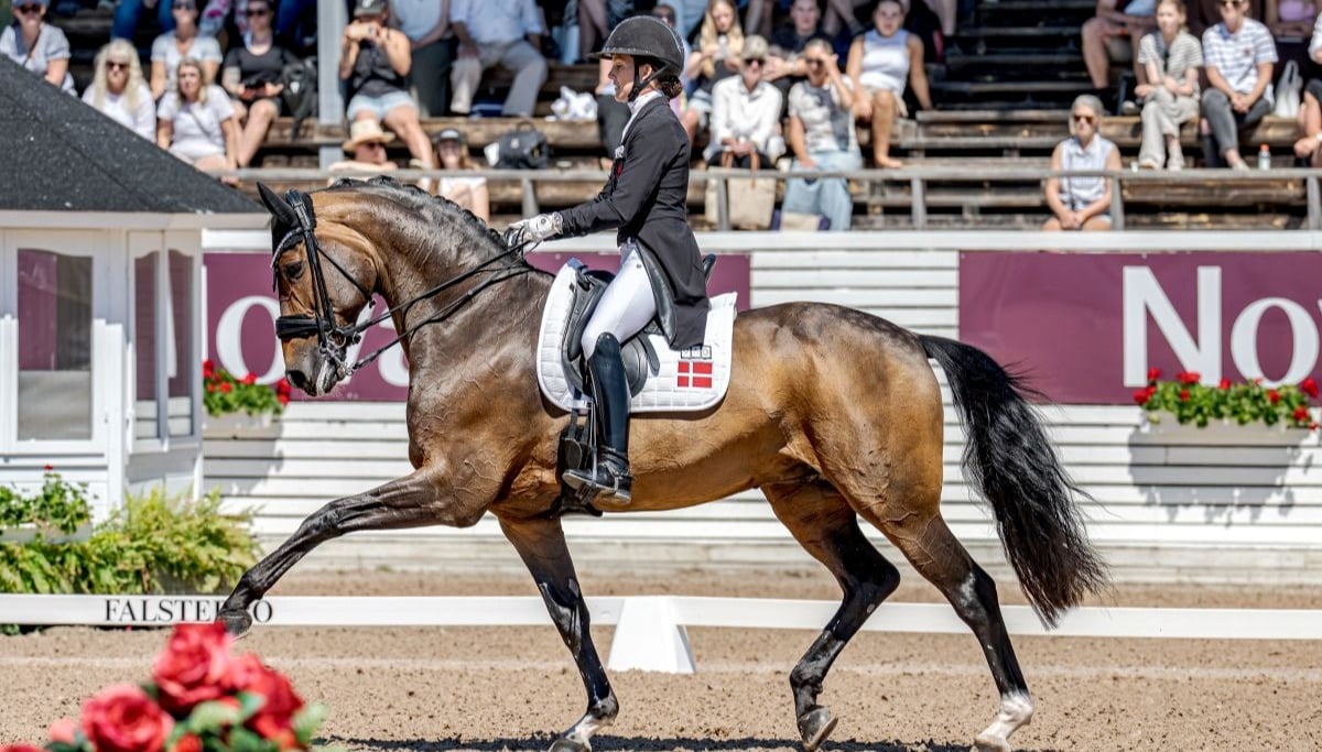 A woman on a bay dressage horse in an arena.