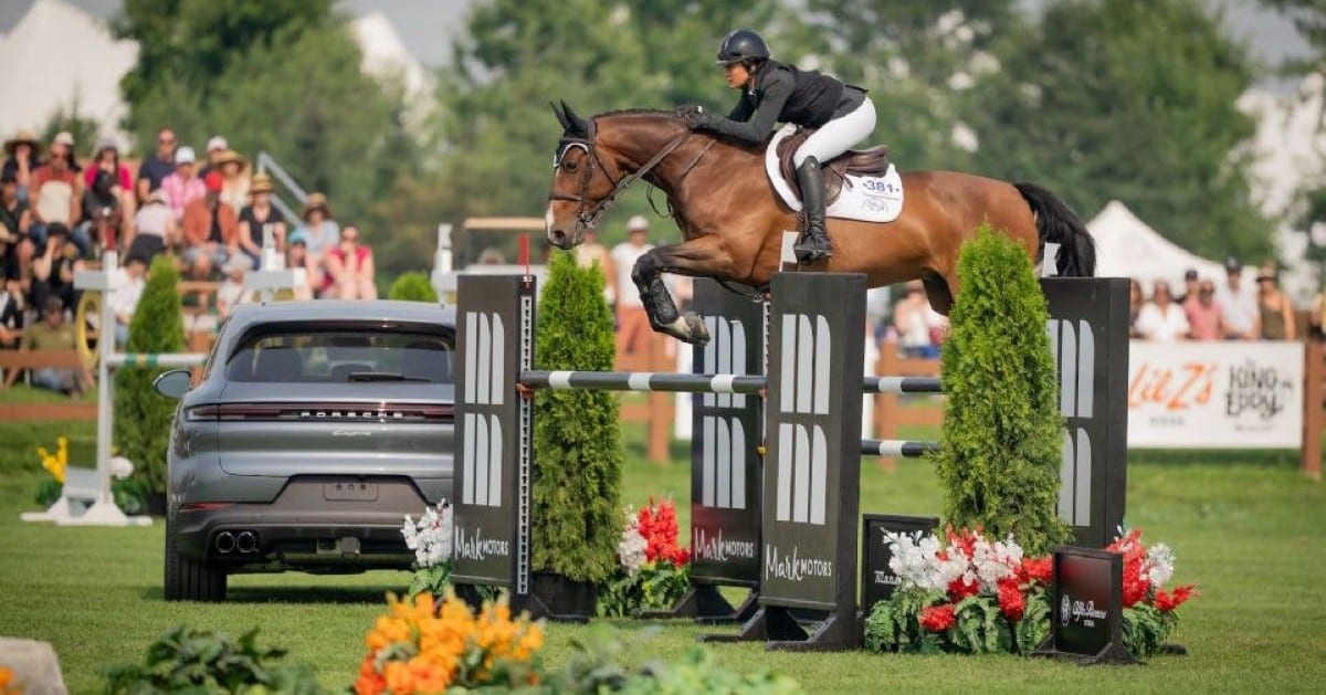 A woman jumping a bay horse over a fence in Ottawa.