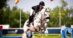 A woman jumping a grey horse over a fence at Traverse City.