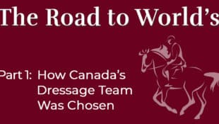 Road to the Worlds graphic.