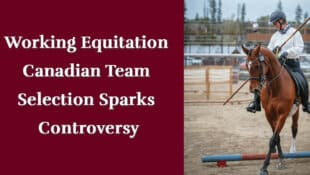 A woman on a horse performing an working equitation test.