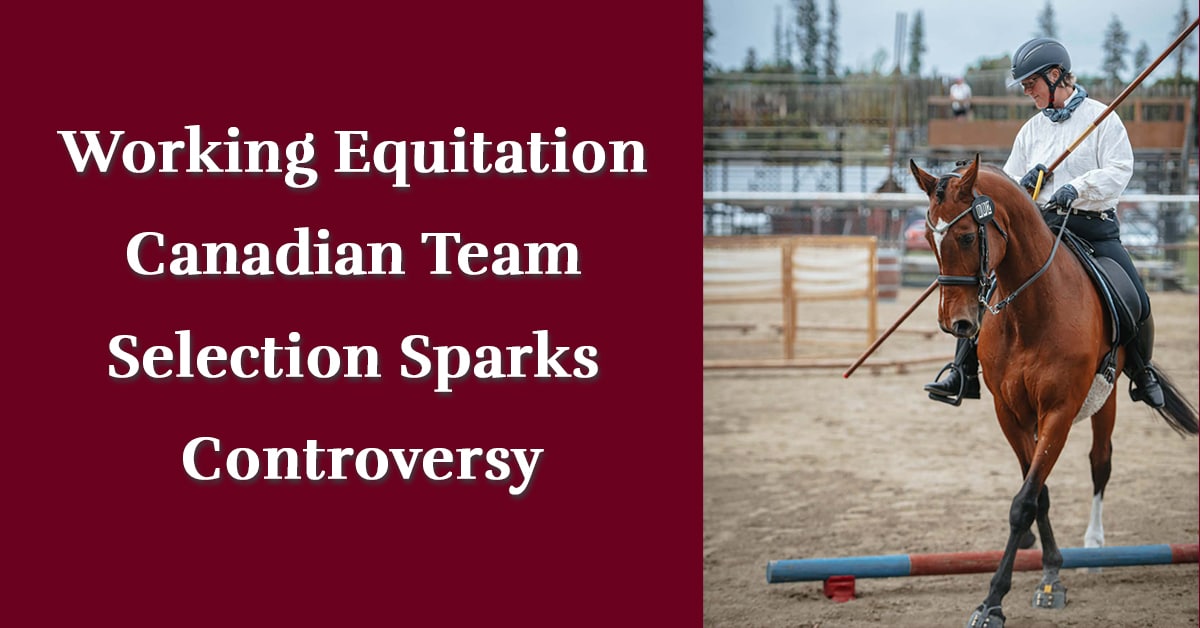 A woman on a horse performing an working equitation test.