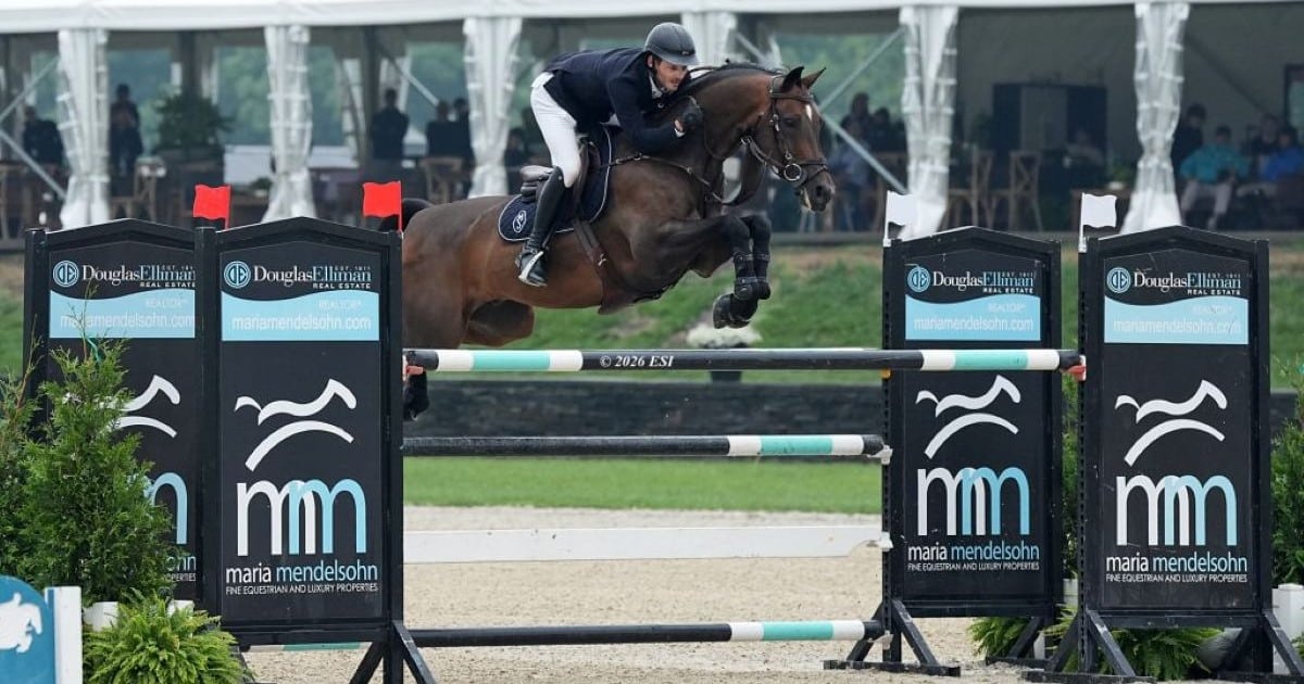 A man jumping a bay horse over a fence