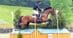 A man jumping a bay horse over a cross-country fence.