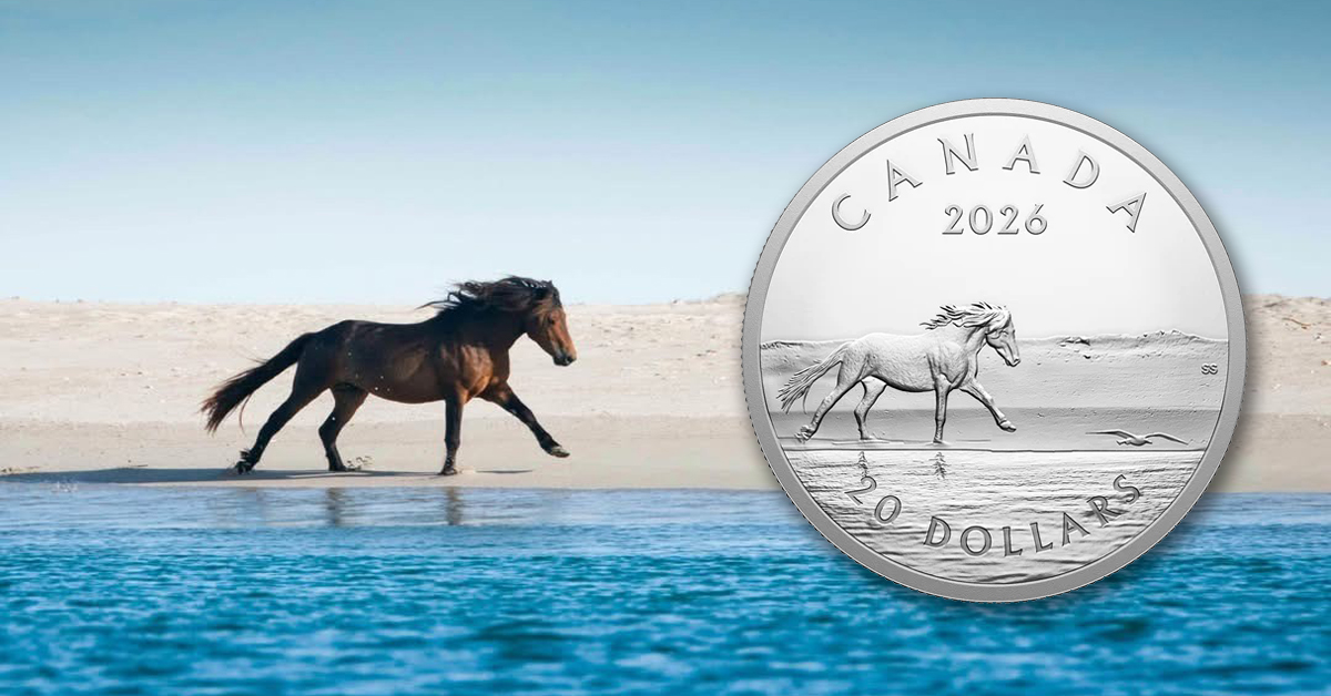 A horse galloping on the beach; a silver coin.