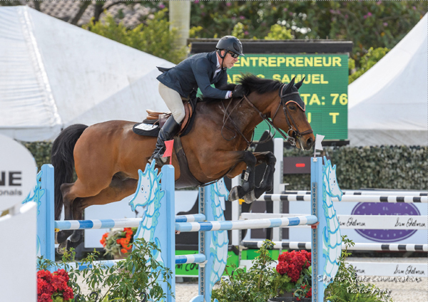 A man jumping a bay horse over a fence.