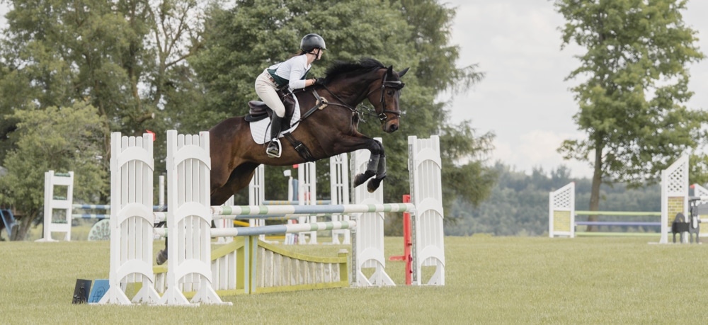 A woman jumping a bay horse over a fence at an outdoor show.