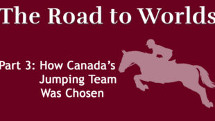 A graphic with a jumping horse.