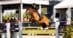 A woman jumping a bay horse over a fence in Traverse City.