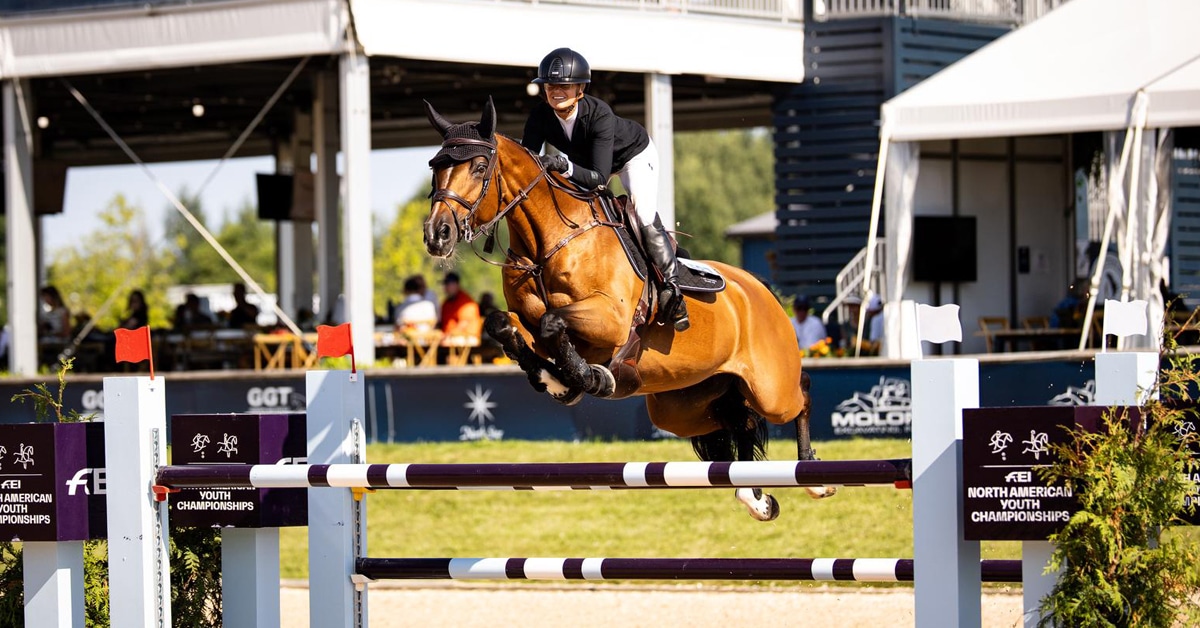 A woman jumping a bay horse over a fence in Traverse City.