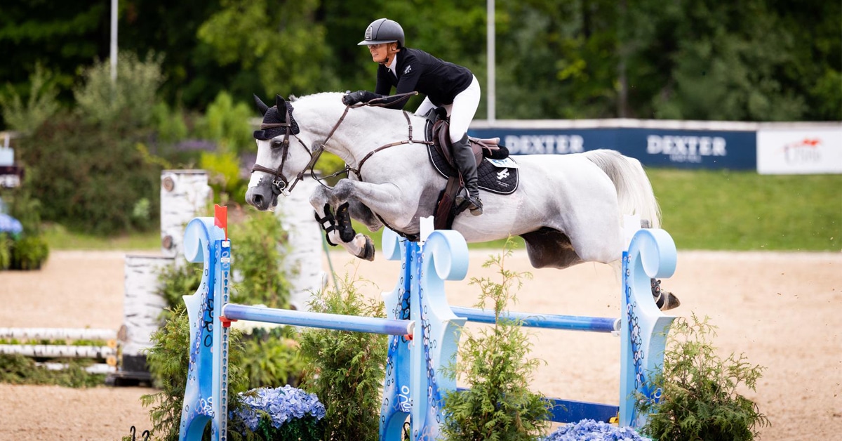 A woman jumping a grey horse over a fence at Traverse City.