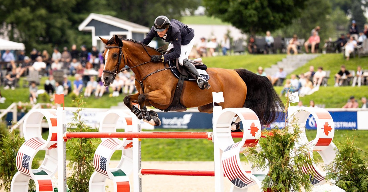 A man jumping a bay horse over a fence in Traverse City.