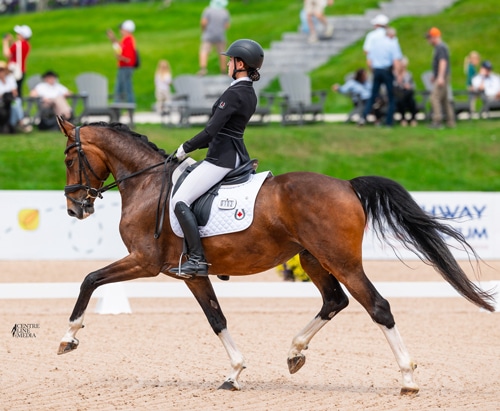 A young woman riding a bay dressage horse in competition.