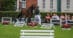 A young woman trotting out a bay horse in front of an audience.
