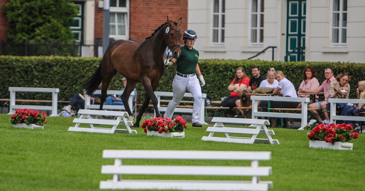 A young woman trotting out a bay horse in front of an audience.
