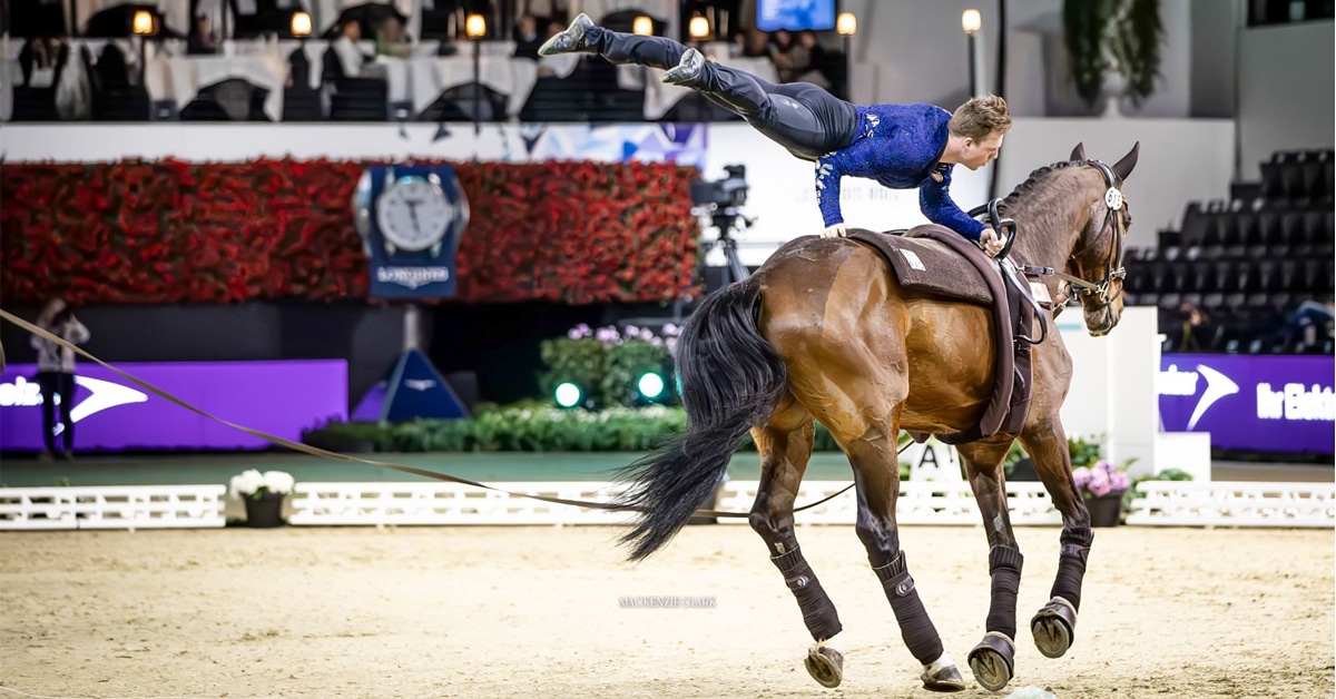 A man vaulting on a bay horse.